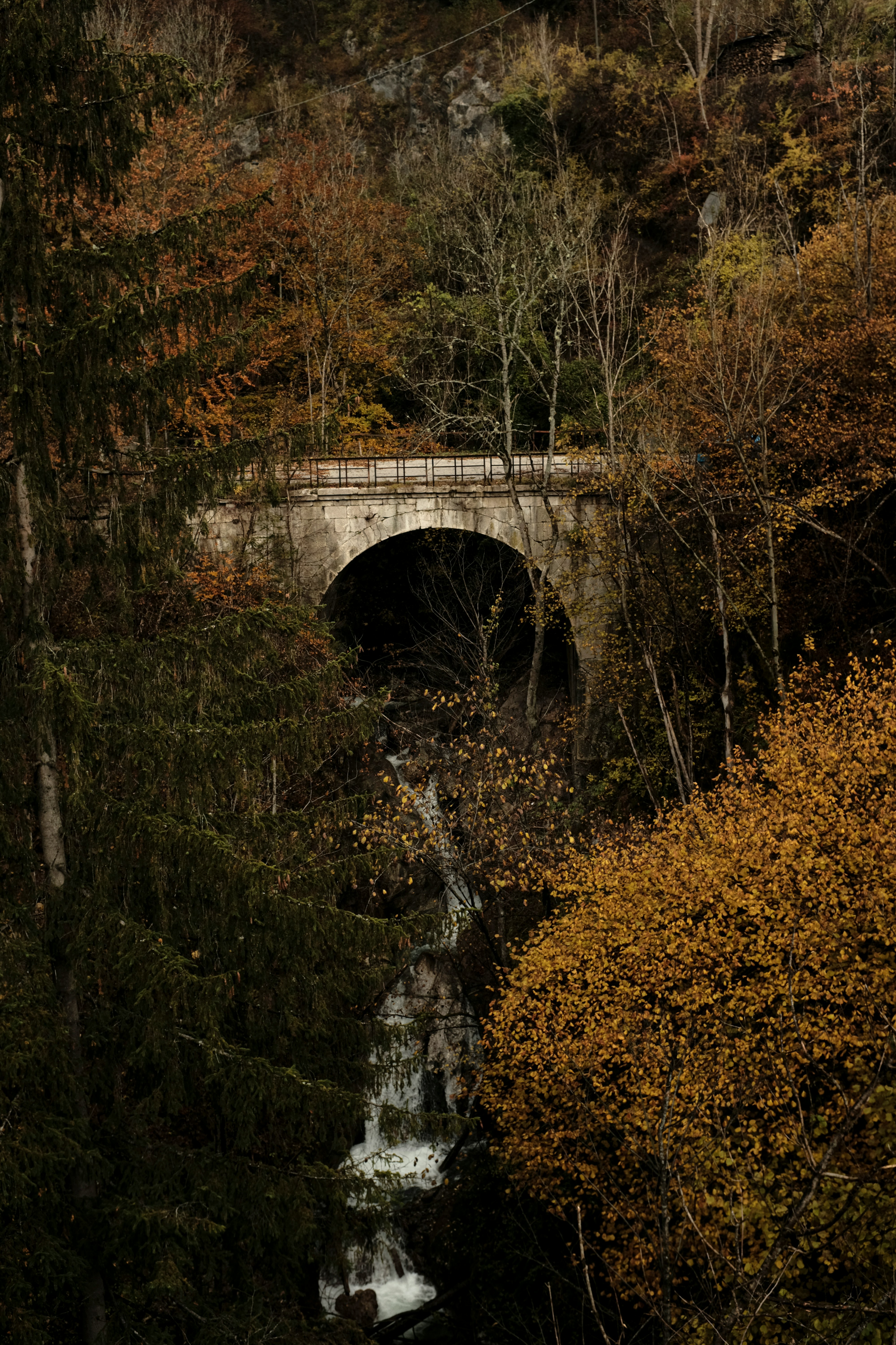 white concrete bridge over river